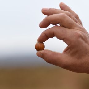 hero editorial-1-1200x900px